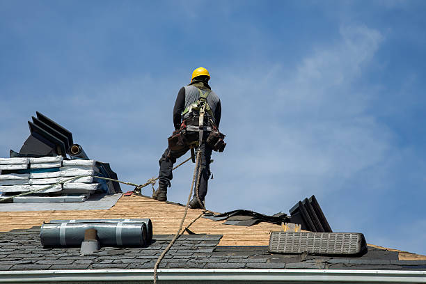 Professional Roofing technician working in Shabbona, IL
